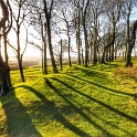 Chanctonbury Ring - malcolm Oakley